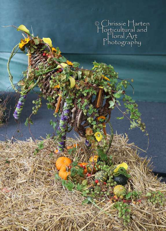 A Harvest Hamper (closeup) exhibit - C - Donald Morgan