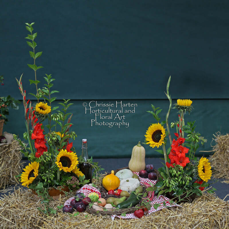 A Harvest Hamper exhibit - VHC - Penelope Harrison