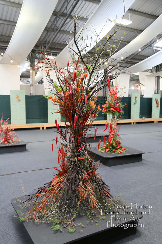 Tree of Fire exhibit - 2nd - Donald Morgan